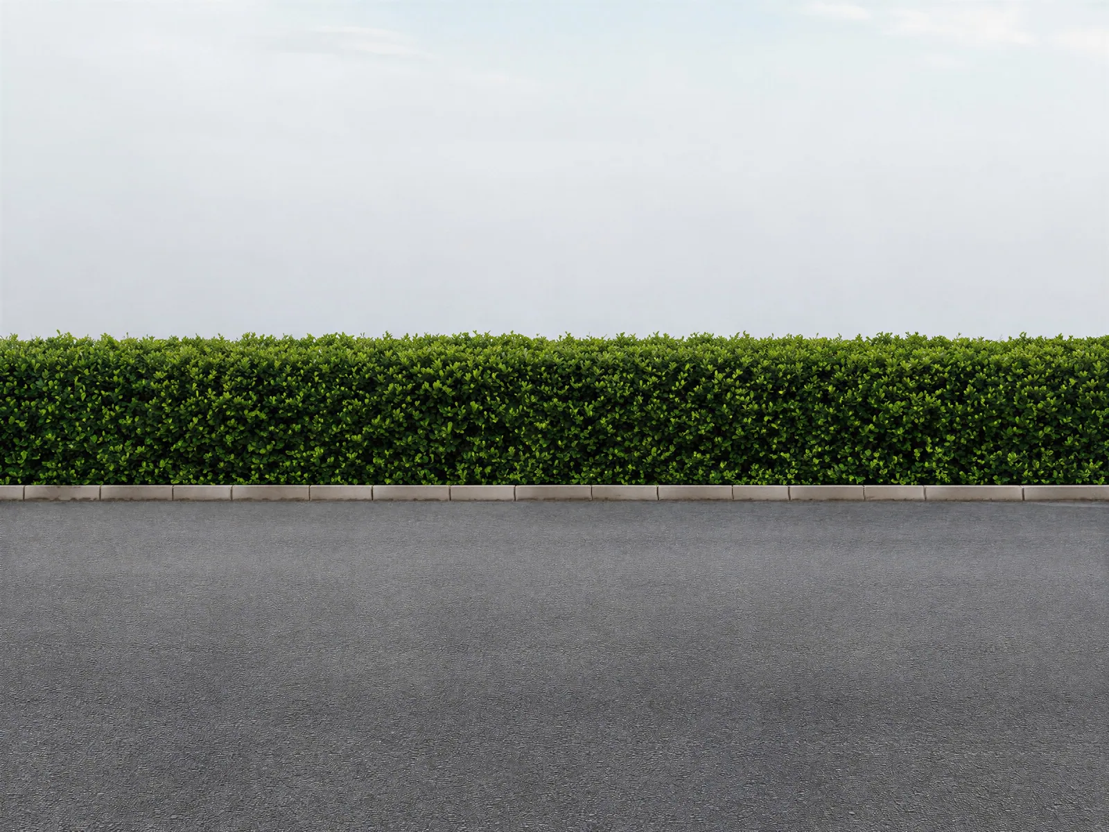 The “Hedge and lined asphalt” background on its own, with no vehicle.