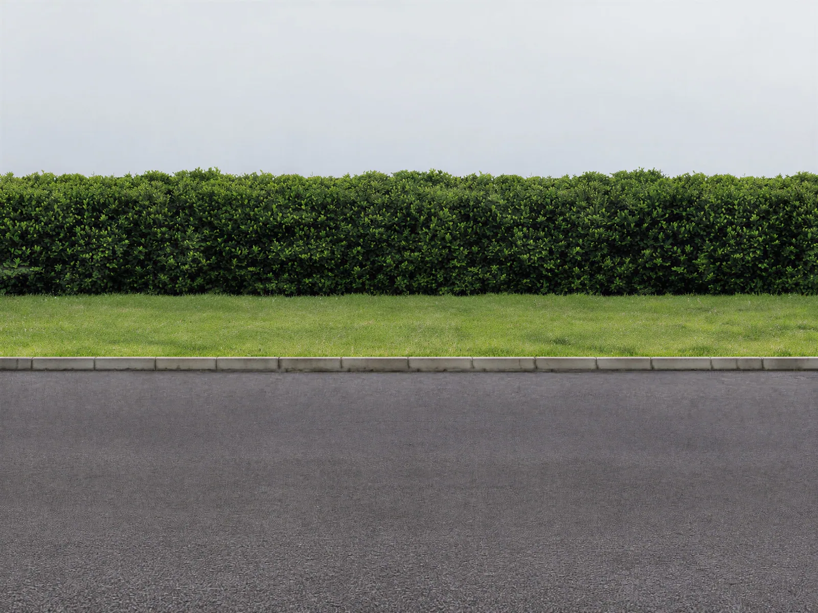 The “Hedge, lawn and roadway” background on its own, with no vehicle.