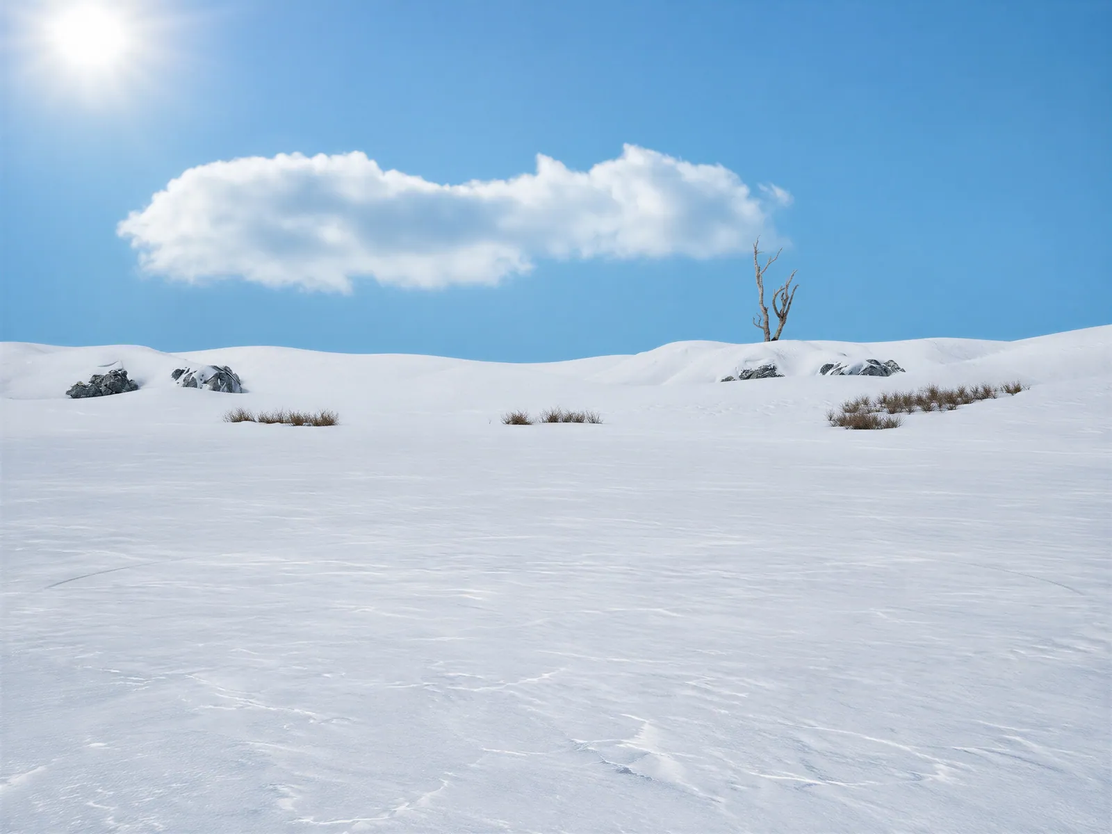 The “Snowfield, blue sky” background on its own, with no vehicle.